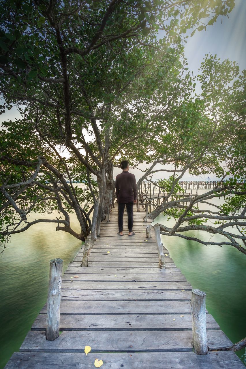 REAR VIEW OF MAN STANDING ON FOOTPATH BY TREES