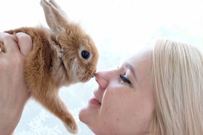 Close-up of woman playing with rabbit