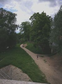 Road amidst trees against sky