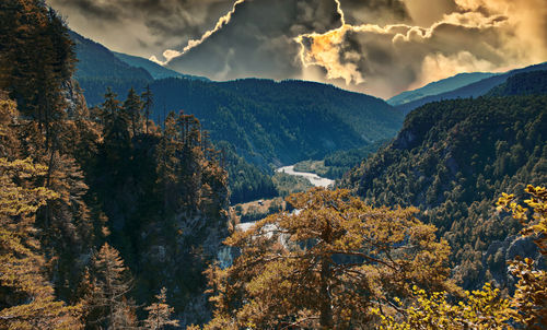 Panoramic view of trees and mountains against sky