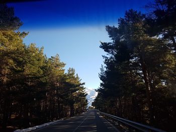 Road amidst trees against blue sky