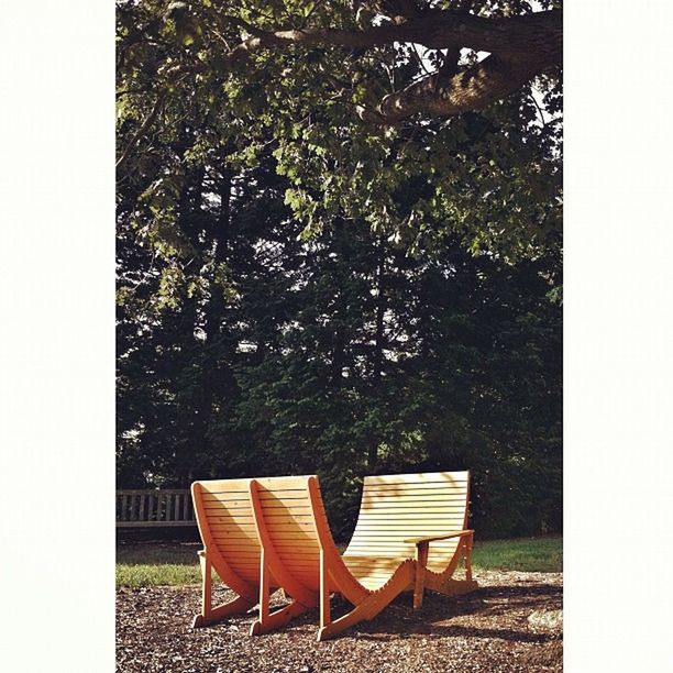 chair, empty, absence, bench, seat, table, tree, relaxation, park bench, day, growth, tranquility, nature, transfer print, auto post production filter, outdoors, wood - material, plant, no people, park - man made space