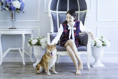 The girl sits on the head of the shiba inu dog. on the sofa in the luxurious living room.