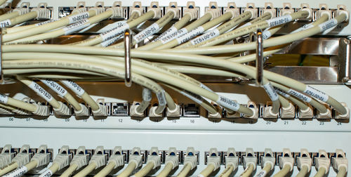 Network switch and network cable rj45 patch cable in a data center