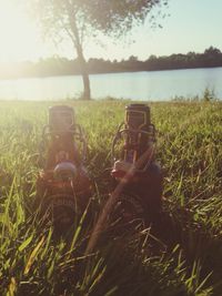 Scenic view of grassy field against sky at sunset