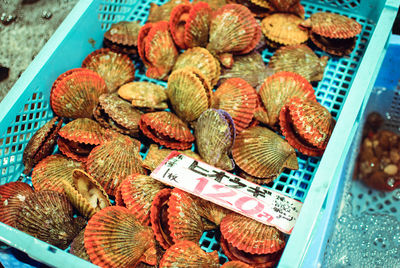 High angle view of seafood clams for sale in market