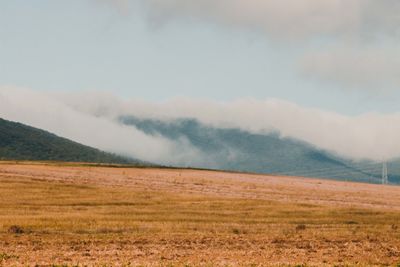 Scenic view of field against sky