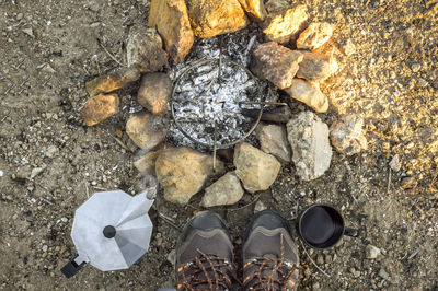 High angle view of shells on rock