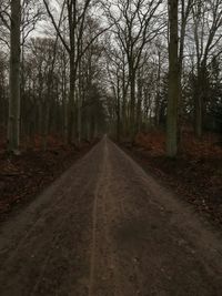 Road passing through forest