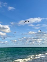Seagulls flying over sea against sky