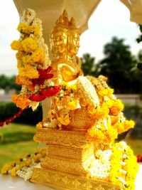 Close-up of yellow flower