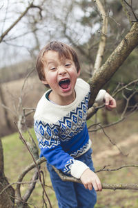 Portrait of boy on bare tree