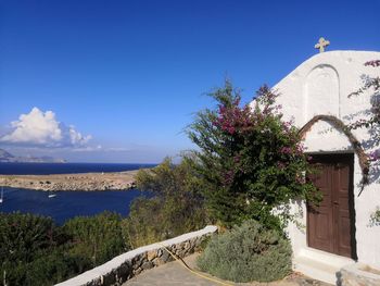 Tree by building against blue sky and sea behind