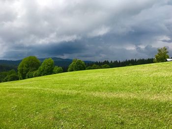 Scenic view of field against sky