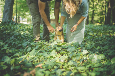 Full length of woman with dog on plant