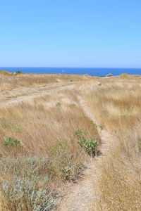 Scenic view of sea against clear sky