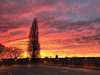 Silhouette trees against sky during sunset