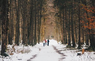 People walking on snow covered land amidst bare trees