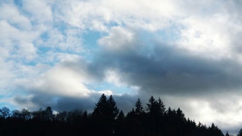 Low angle view of trees against cloudy sky