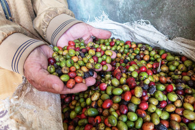 Midsection of man holding fruits