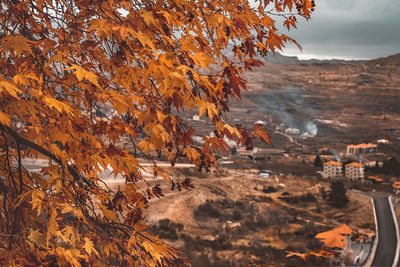 High angle view of trees in forest during autumn