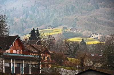 Houses and trees by buildings against mountain