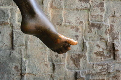 Close-up of statue against wall