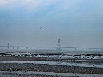 View of birds flying over beach against sky