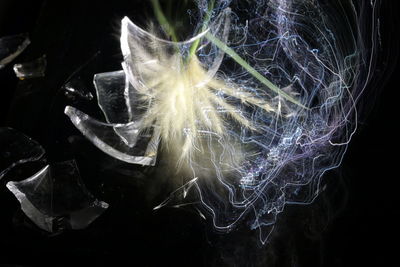 Close-up of illuminated star shape over black background