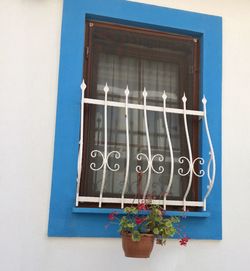 Close-up of blue window