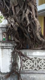 Close-up of old statue against building