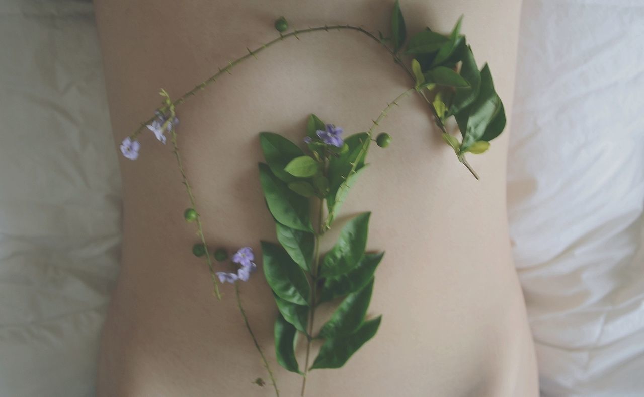 indoors, close-up, leaf, freshness, flower, white color, green color, plant, home interior, one person, fragility, table, bed, high angle view, person, green, part of, still life, growth, selective focus