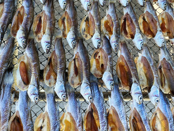 Full frame shot of fish for sale in market