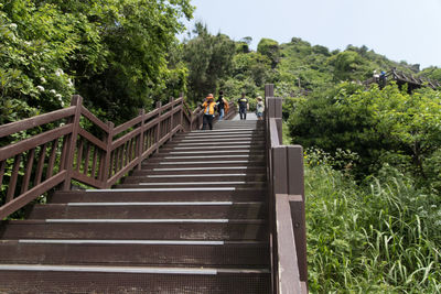 People walking on stairs along trees
