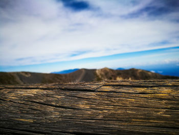 Close-up of log against sky