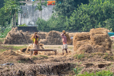 People working on in farm