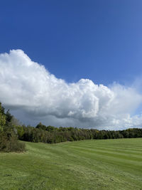 Scenic view of landscape against sky