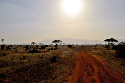 Dirt road amidst field against sky