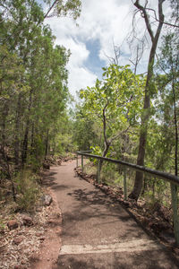 Footpath amidst trees in forest against sky