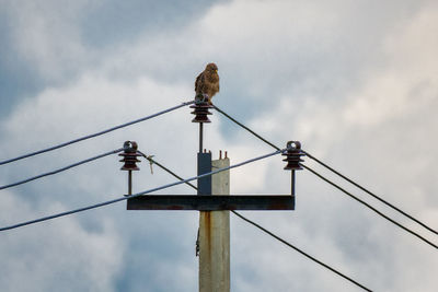 Low angle view of bird perching on cable against sky