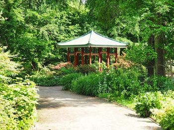 Gazebo in garden by building