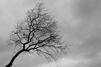 Low angle view of silhouette bare tree against sky