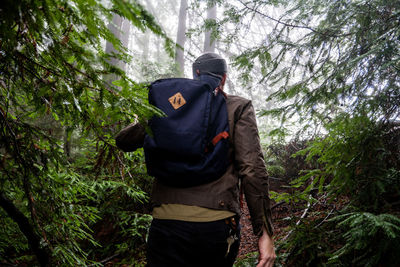 Man with backpack passes through pine trees into misty forest clearing
