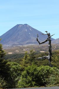 Scenic view of tree mountain against clear sky