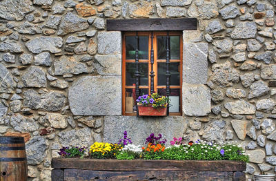 Flower pots against window sill