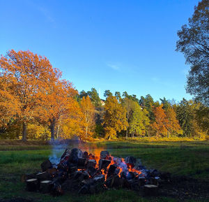 Trees on field against sky during autumn