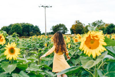 Rear view of woman standing by sunflower against sky