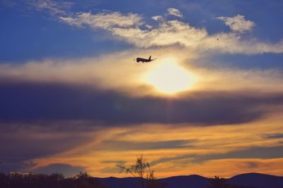 Low angle view of silhouette airplane against sky during sunset