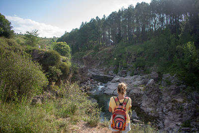 Rear view of woman amidst trees on mountain