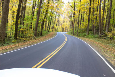 Road amidst trees in forest